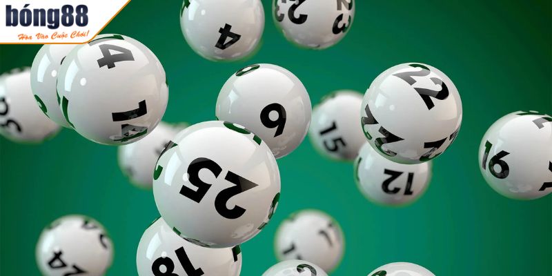 Nuôi lô 7 ngày là gì?